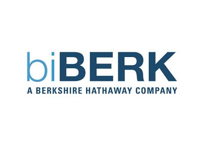 BiBerk insurance